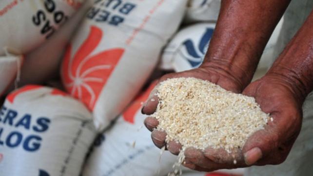 Disinyalir Terancam Bangkrut, Nasib Beras Bulog Turun Mutu 